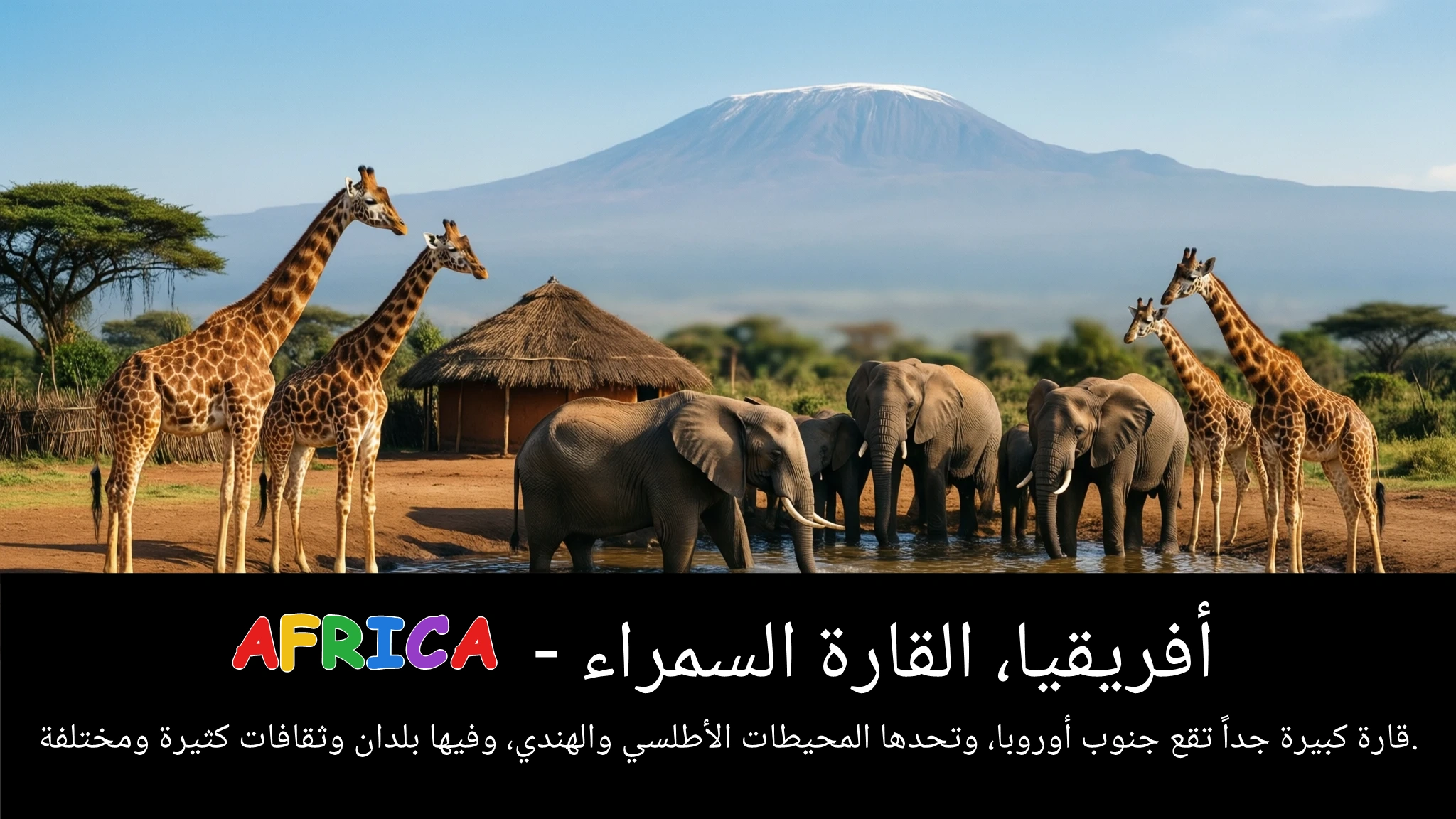 Arabic Illustration for Africa